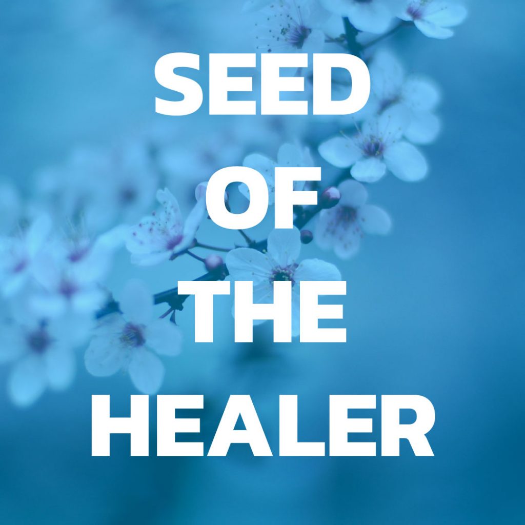 seed of the healer